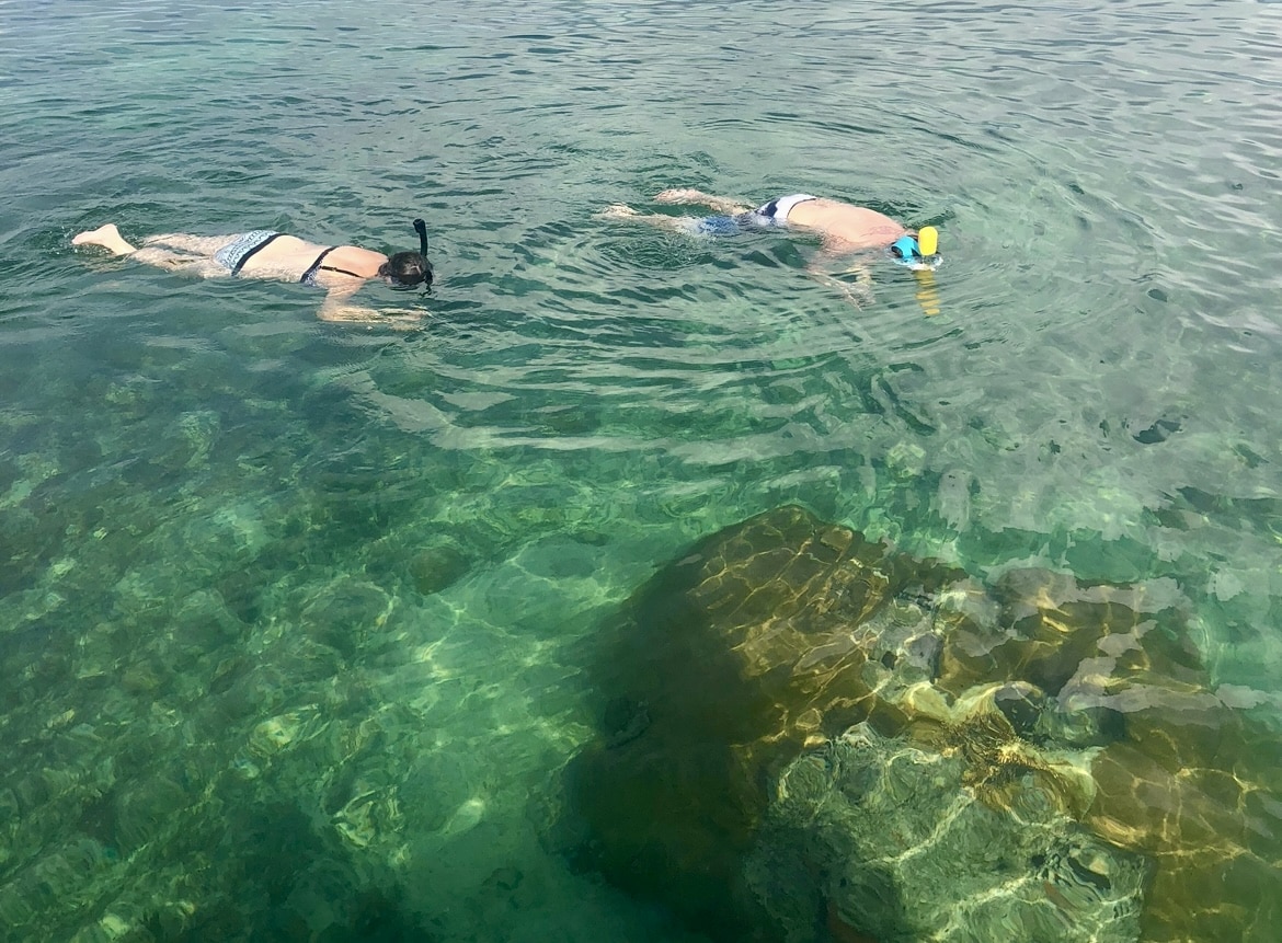 Tropical fish swimming over coral reef in Key West’s clear turquoise water.