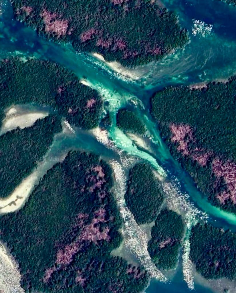 Aerial view of winding turquoise channels and mangrove islands in the Great White Heron National Wildlife Refuge near Key West.