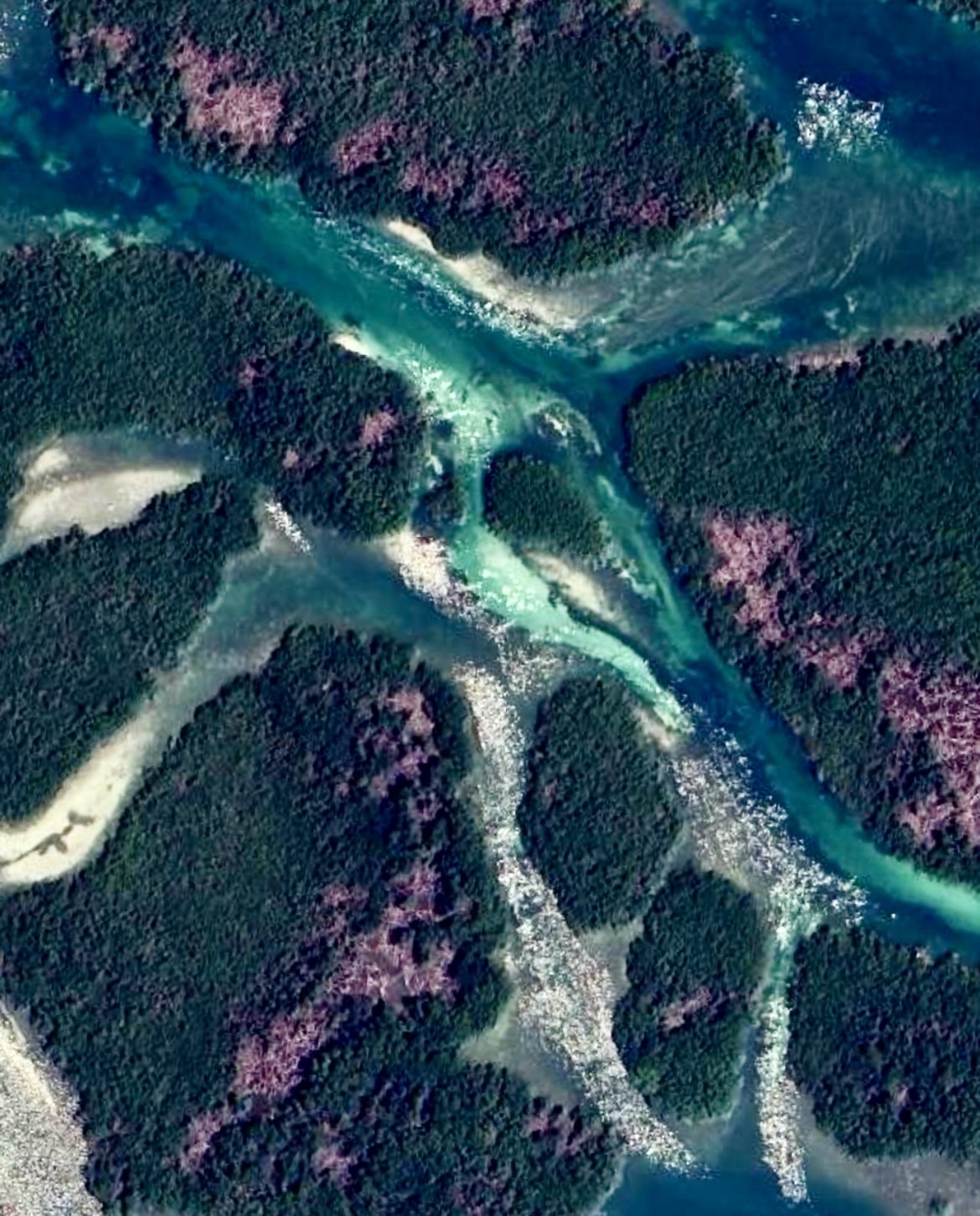 Aerial view of winding turquoise channels and mangrove islands in the Great White Heron National Wildlife Refuge near Key West.