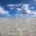 boats seen while on a private sandbar charter in key west