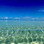 sandbar on Private sandbar charter in key west