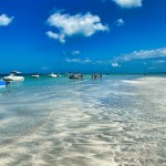 IMG_1010(1)